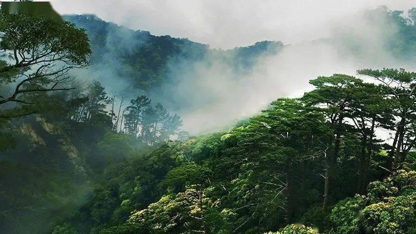 人类：一败涂地