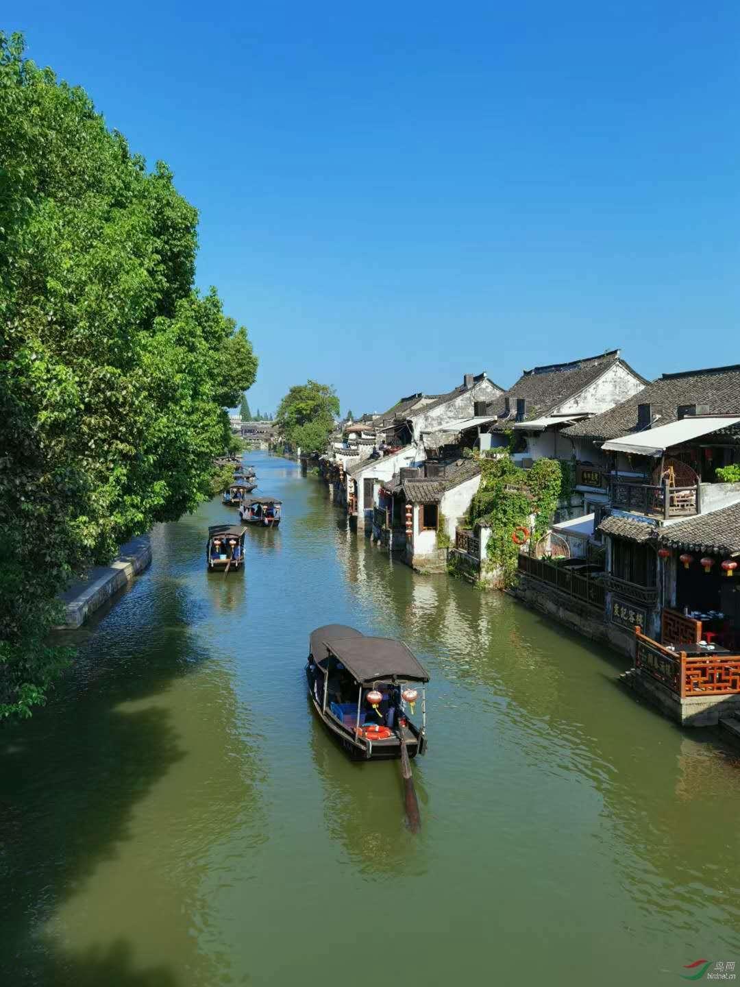 逃出奶油苹果屋